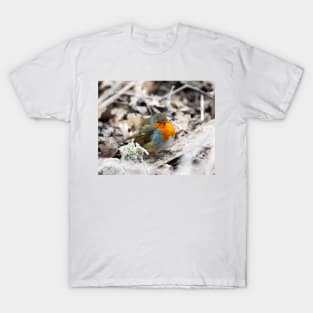 Frosty Robin T-Shirt